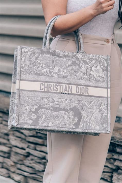 christian dior dupe tote bag|knockoff dior buckle bag.